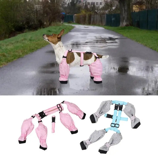 Dog Boot Waterproof Leggings