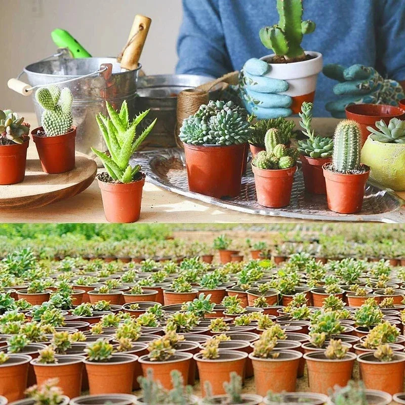 75Pcs Flexible Plant Nursery Pots Seed Starting Pots Plastic