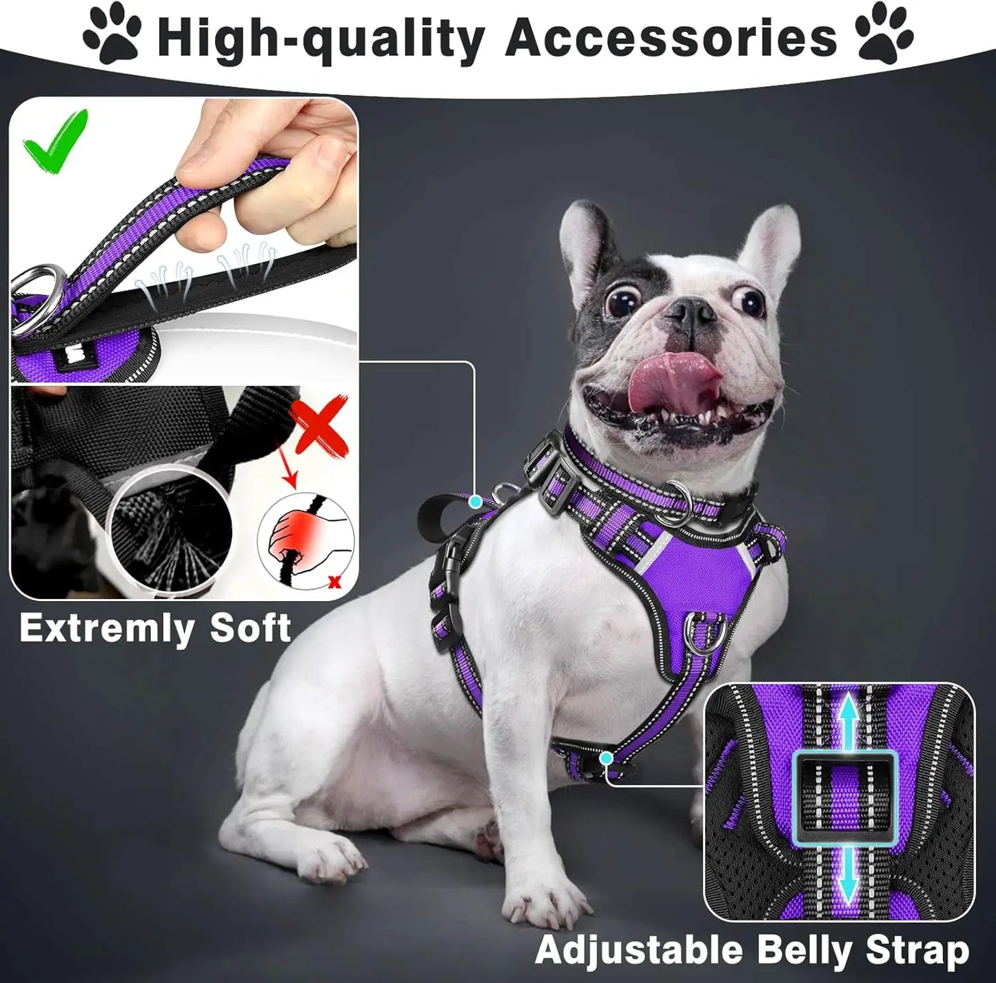 Pet Harness Collar and Leash Set