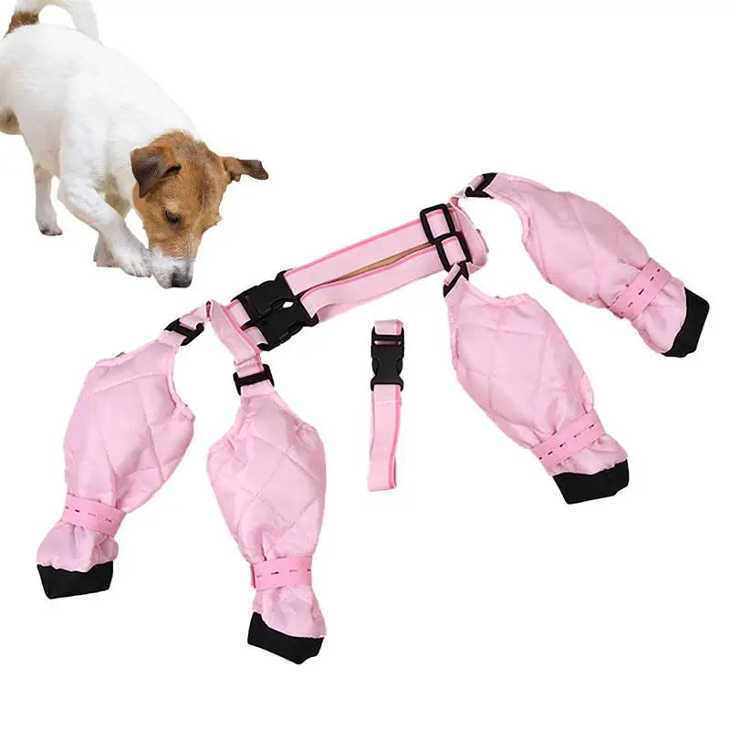 Dog Boot Waterproof Leggings