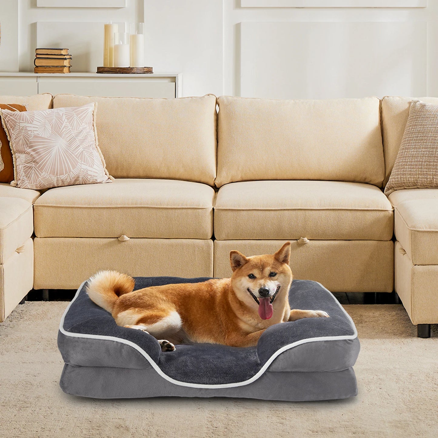 Orthopedic Dog Bed Memory Foam