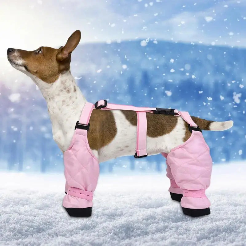 Dog Boot Waterproof Leggings