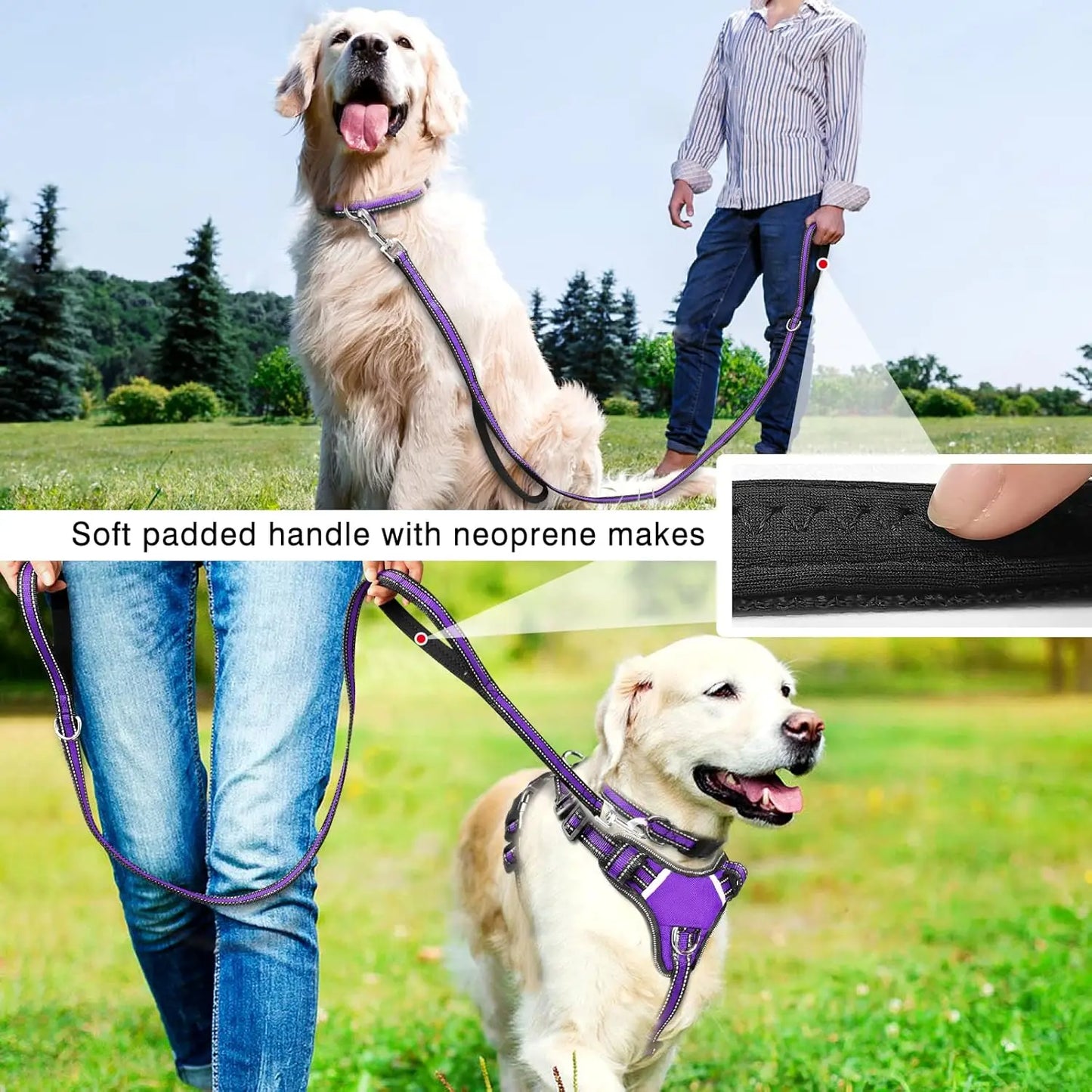 Pet Harness Collar and Leash Set