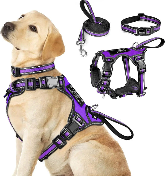 Pet Harness Collar and Leash Set