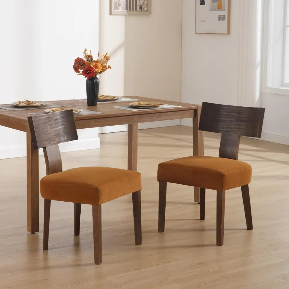 Mid Century Modern Dining Room Chairs Set for 4